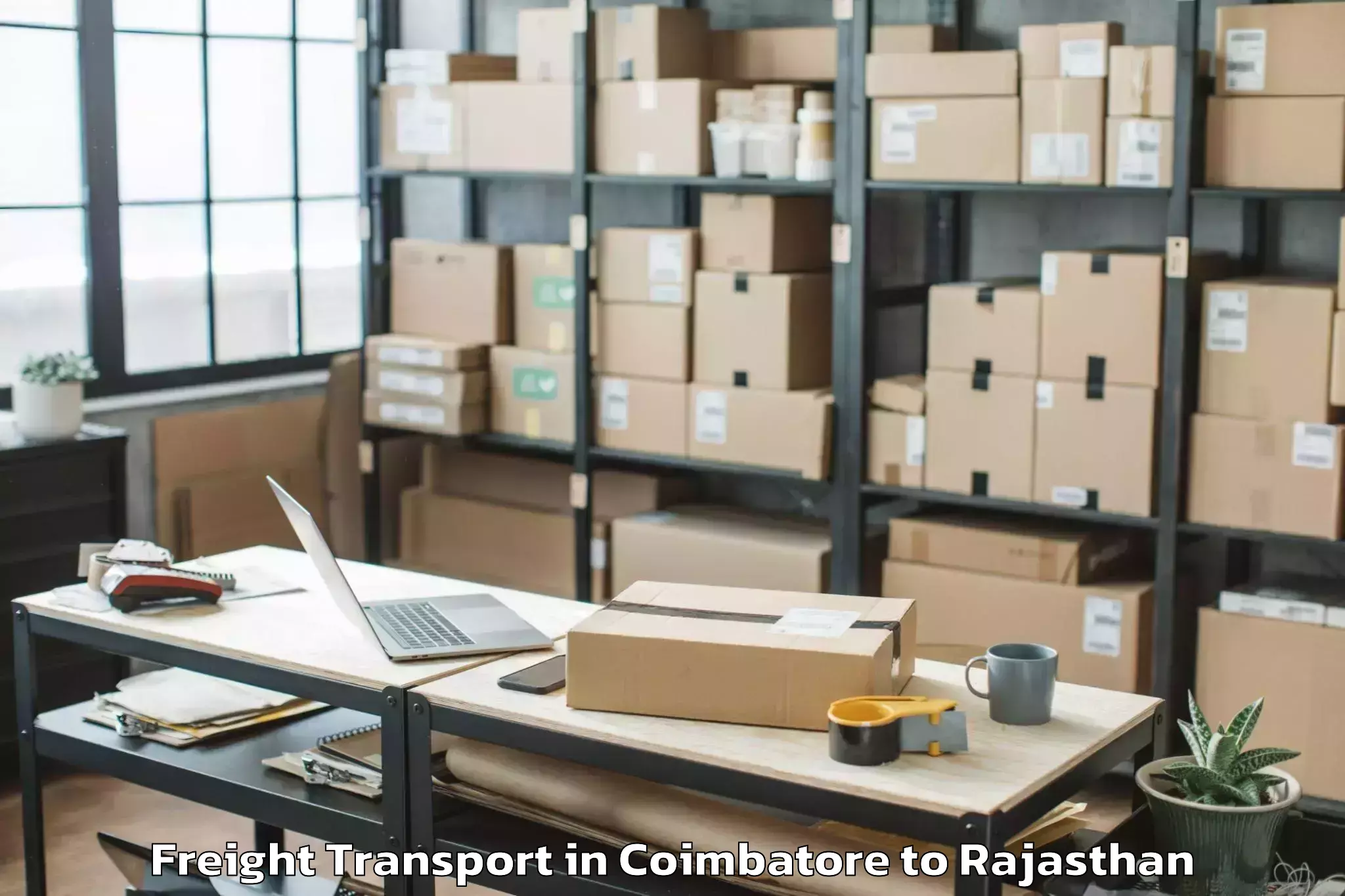 Hassle-Free Coimbatore to Mewar University Chittorgarh Freight Transport